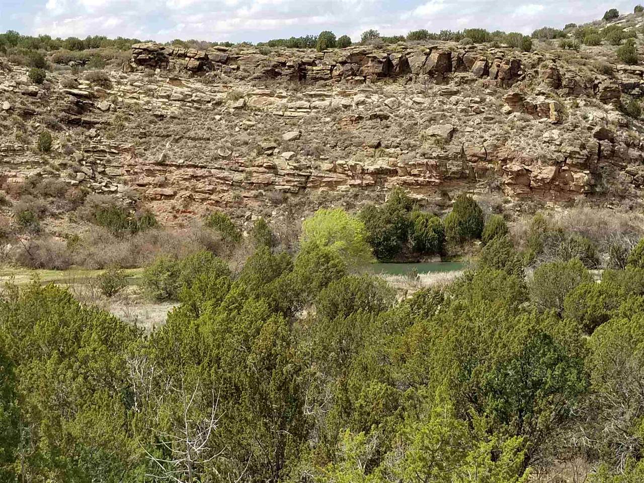 1159 Joe And Louis Page Road - Photo 1