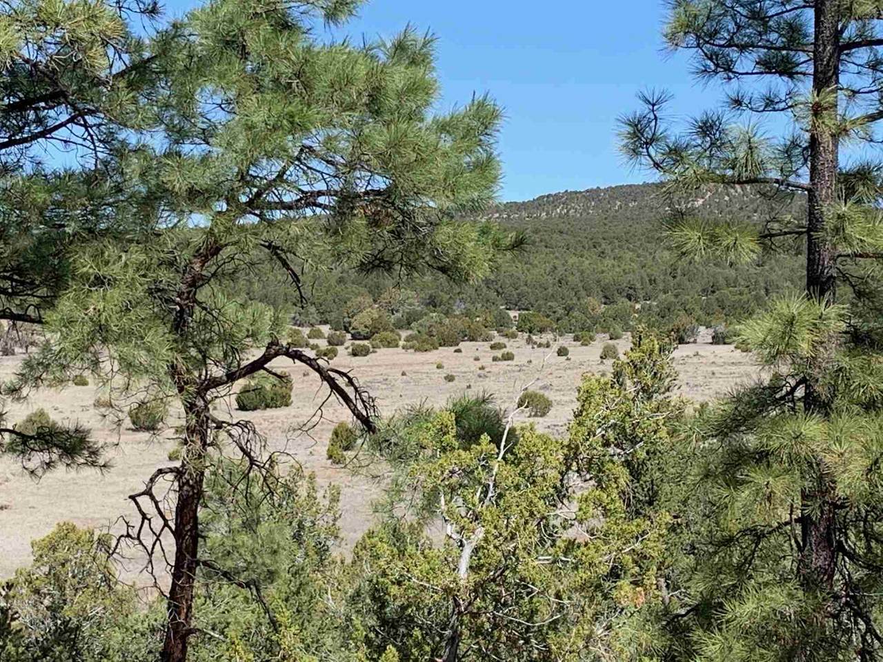 51 Rancho Romero - Photo 1