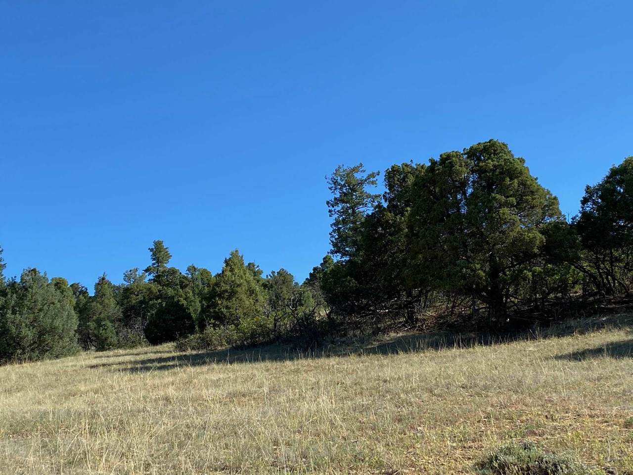 0 Unit 6, Tract 30, Ponderosa - Photo 1