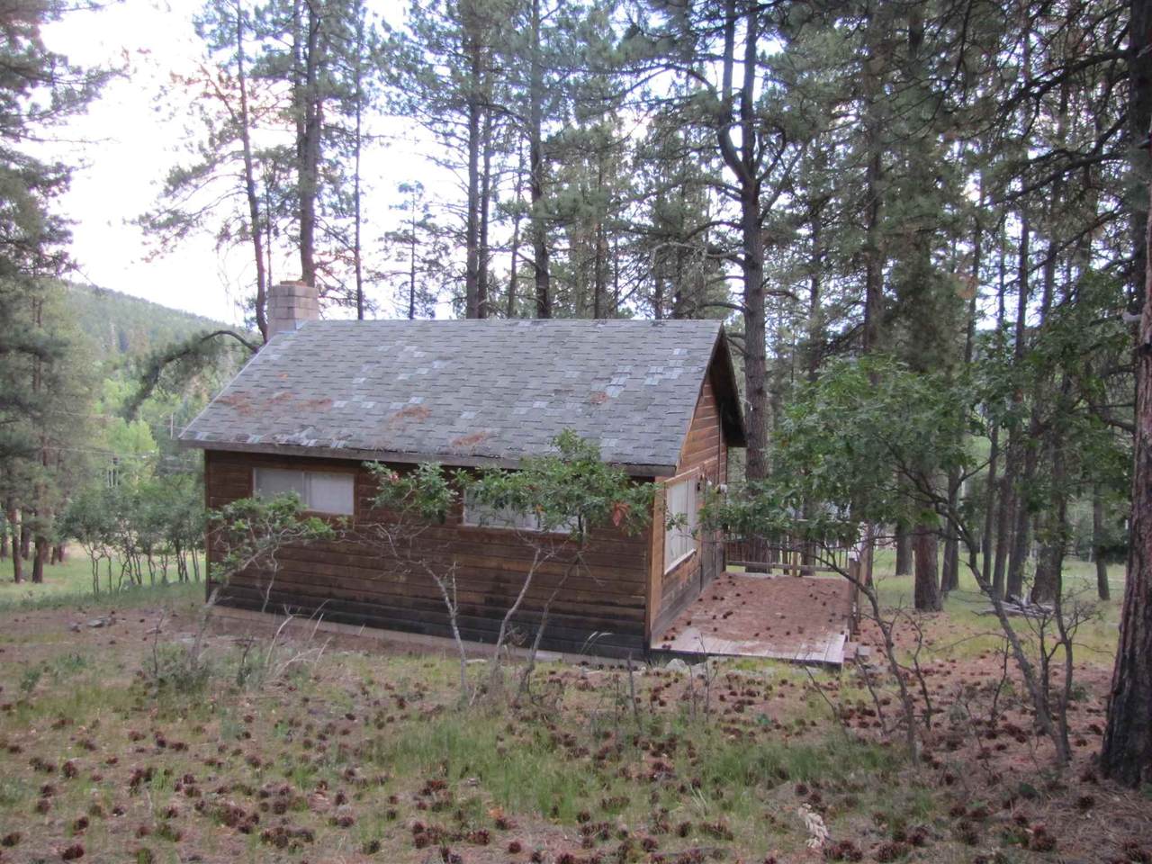 Lot 3 Grass Mountain (Cabin) - Photo 1
