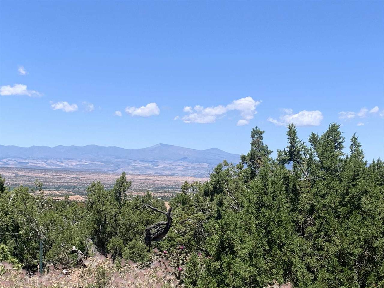 45 Pacheco Meadow - Photo 1