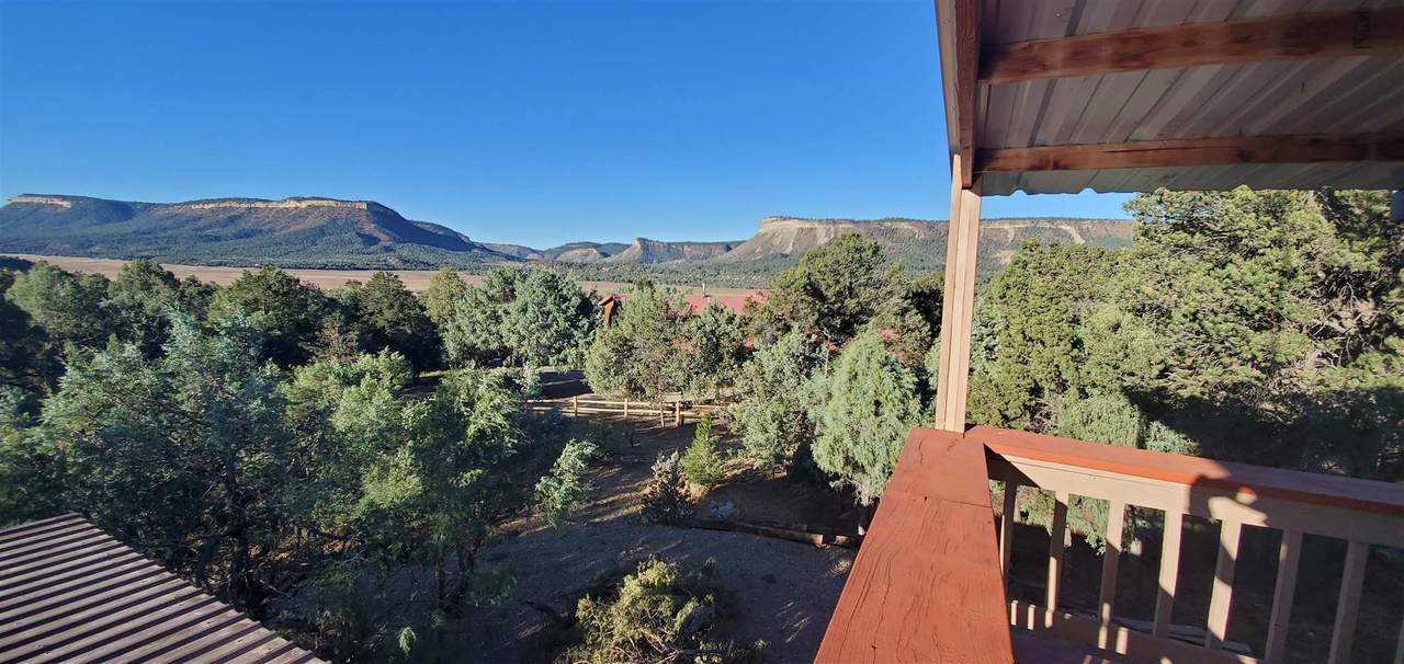35 Christy Lane - Photo 1