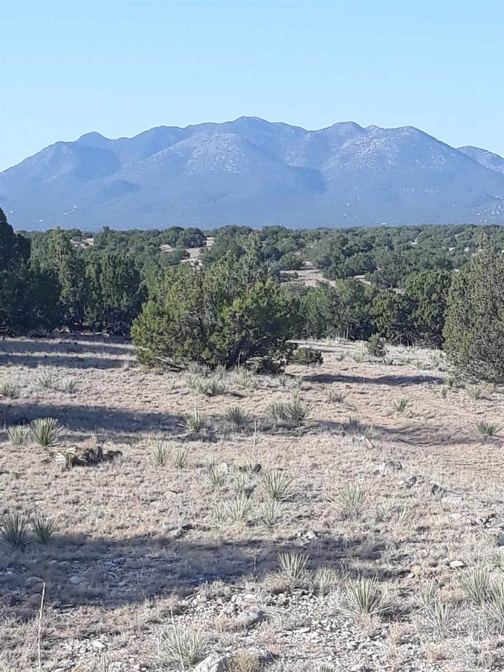 104 Rancho De Shama - Photo 1