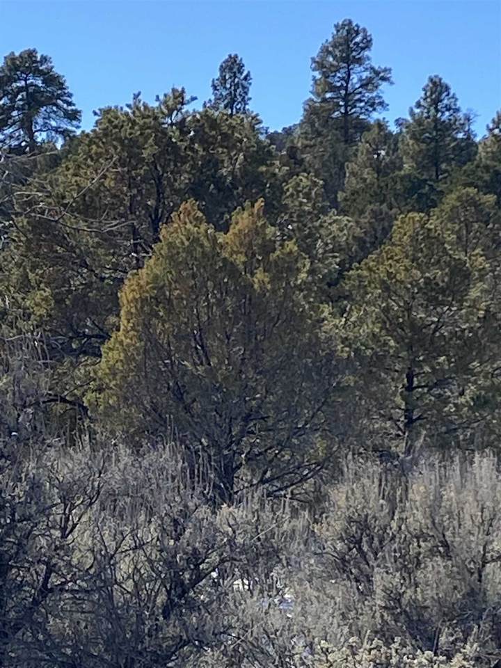 MM 3 Hwy 110 - Photo 1