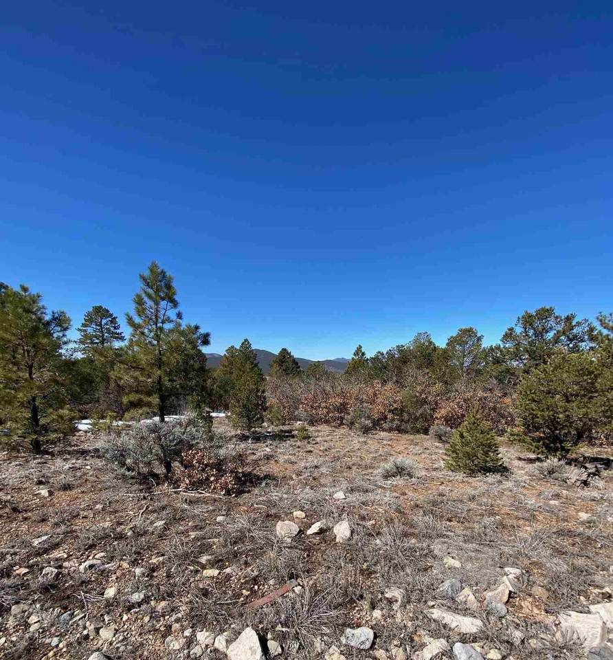 00 Off Echo Forest Road - Photo 1