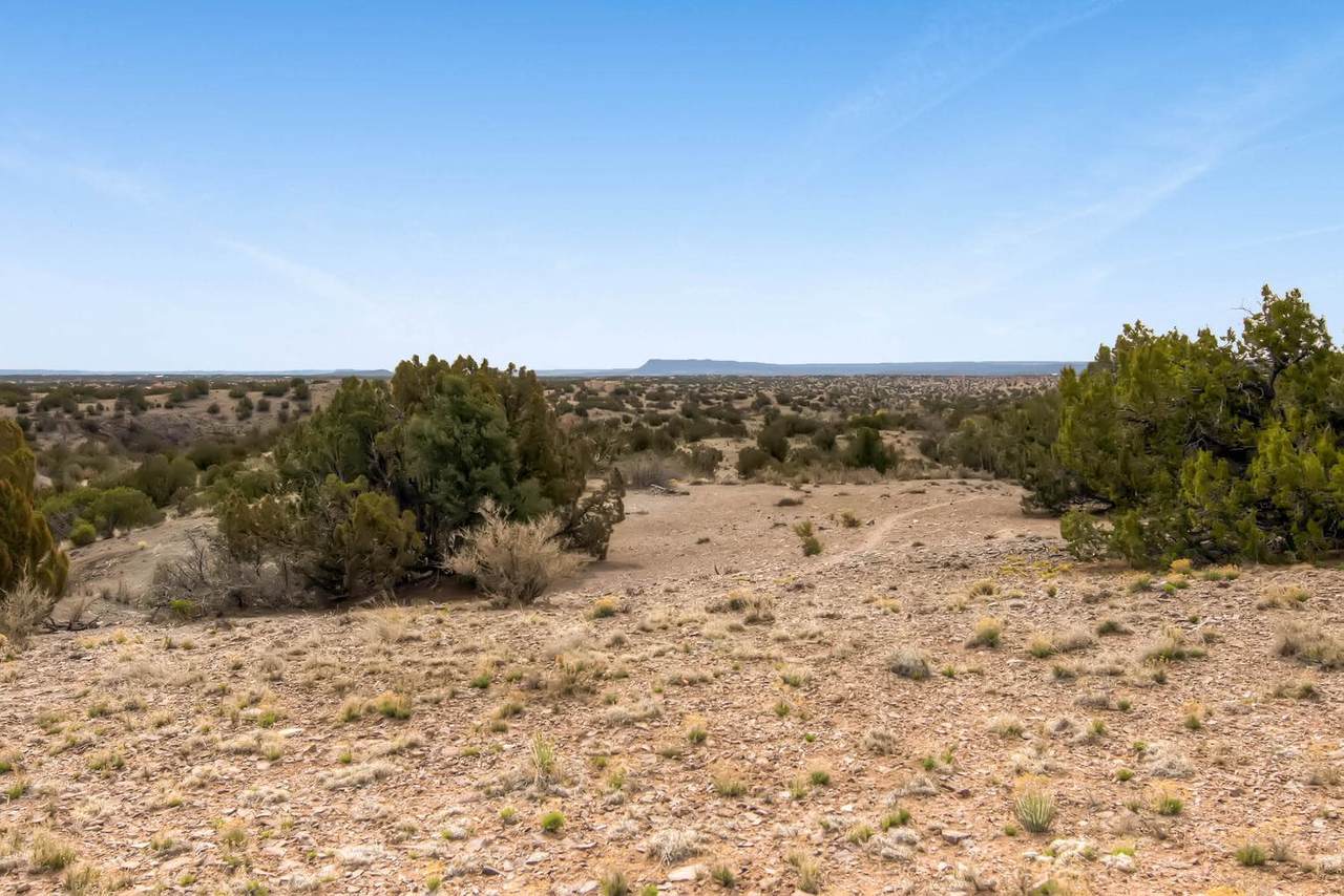 10 El Cerro Trail - Photo 1