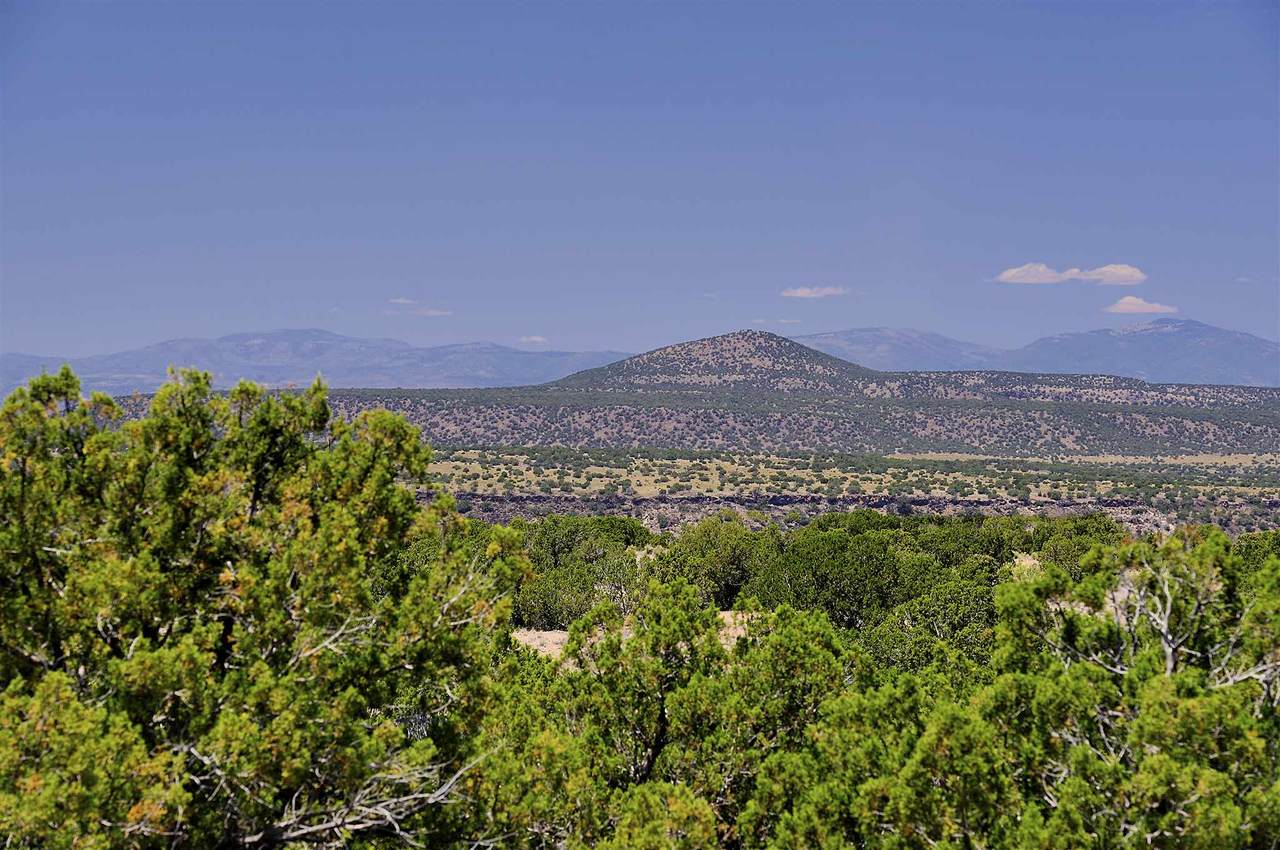 23 Via De Las Yeguas Lot 87 - Photo 1