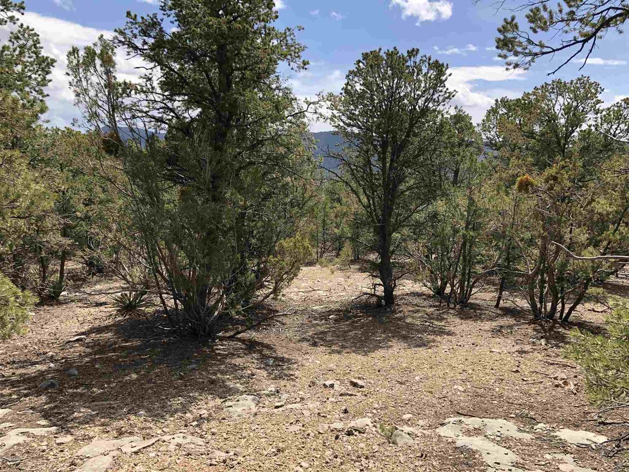 0 Velasquez Rd - Photo 1