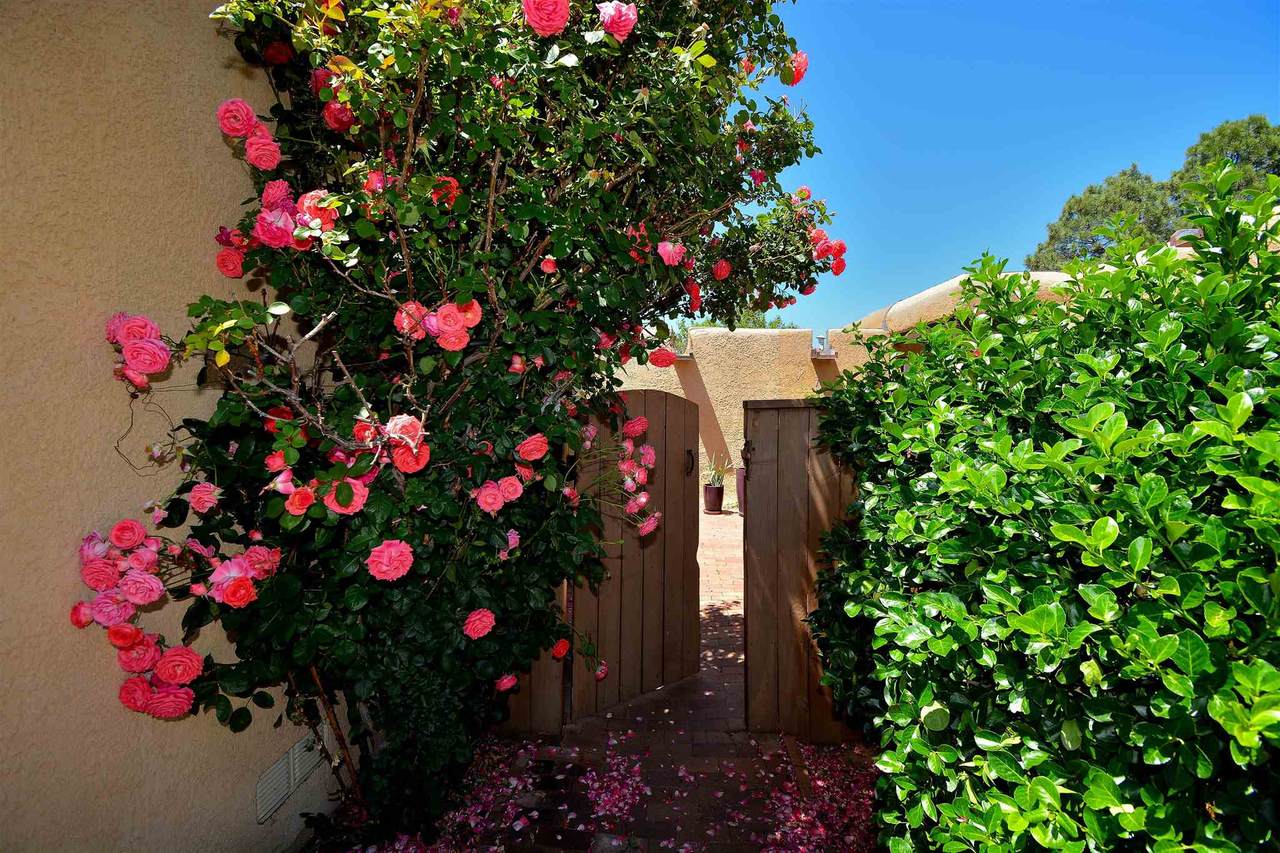2817 Plaza Rojo - Photo 1