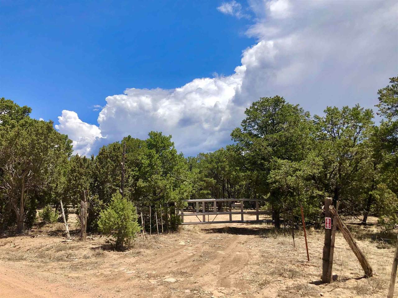 60 Soaring Hawk Trail - Photo 1