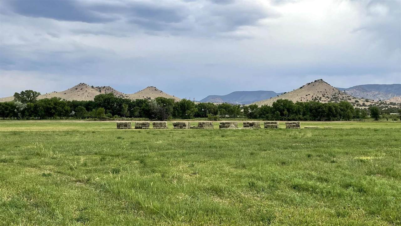 20590 Us Highway 84 - Photo 1