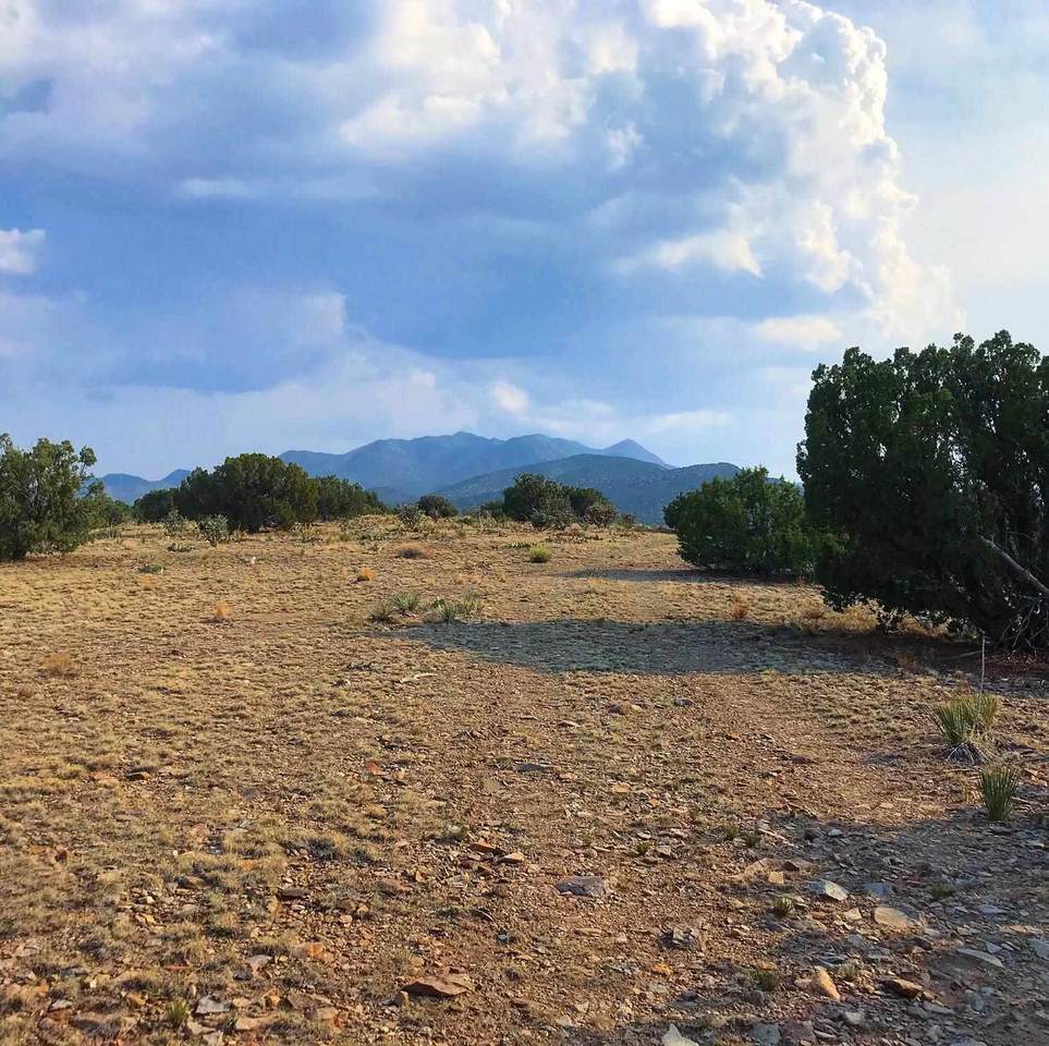 0 Cerrillos - Photo 1