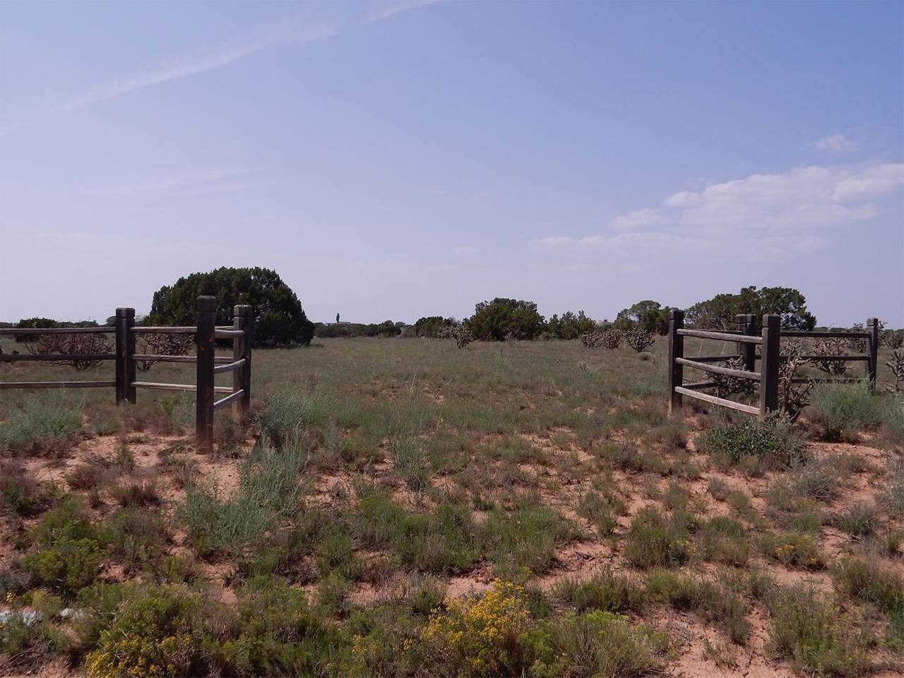25 Vista Estrella - Photo 1