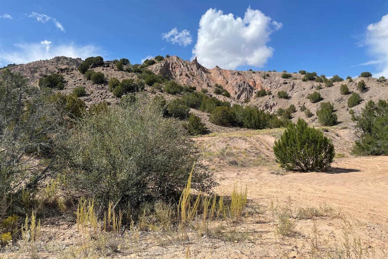 TBD County Road 67 - Photo 1