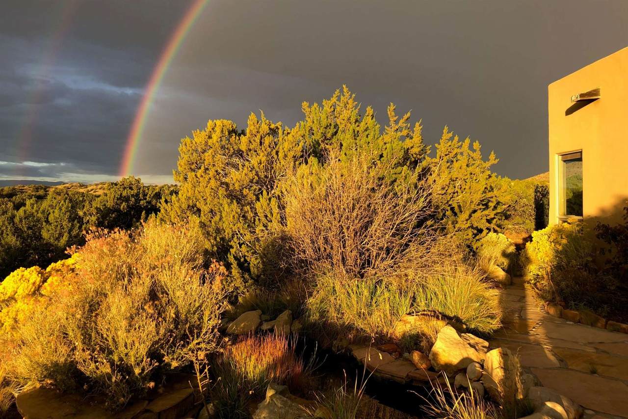 45 Gold Trail - Photo 1