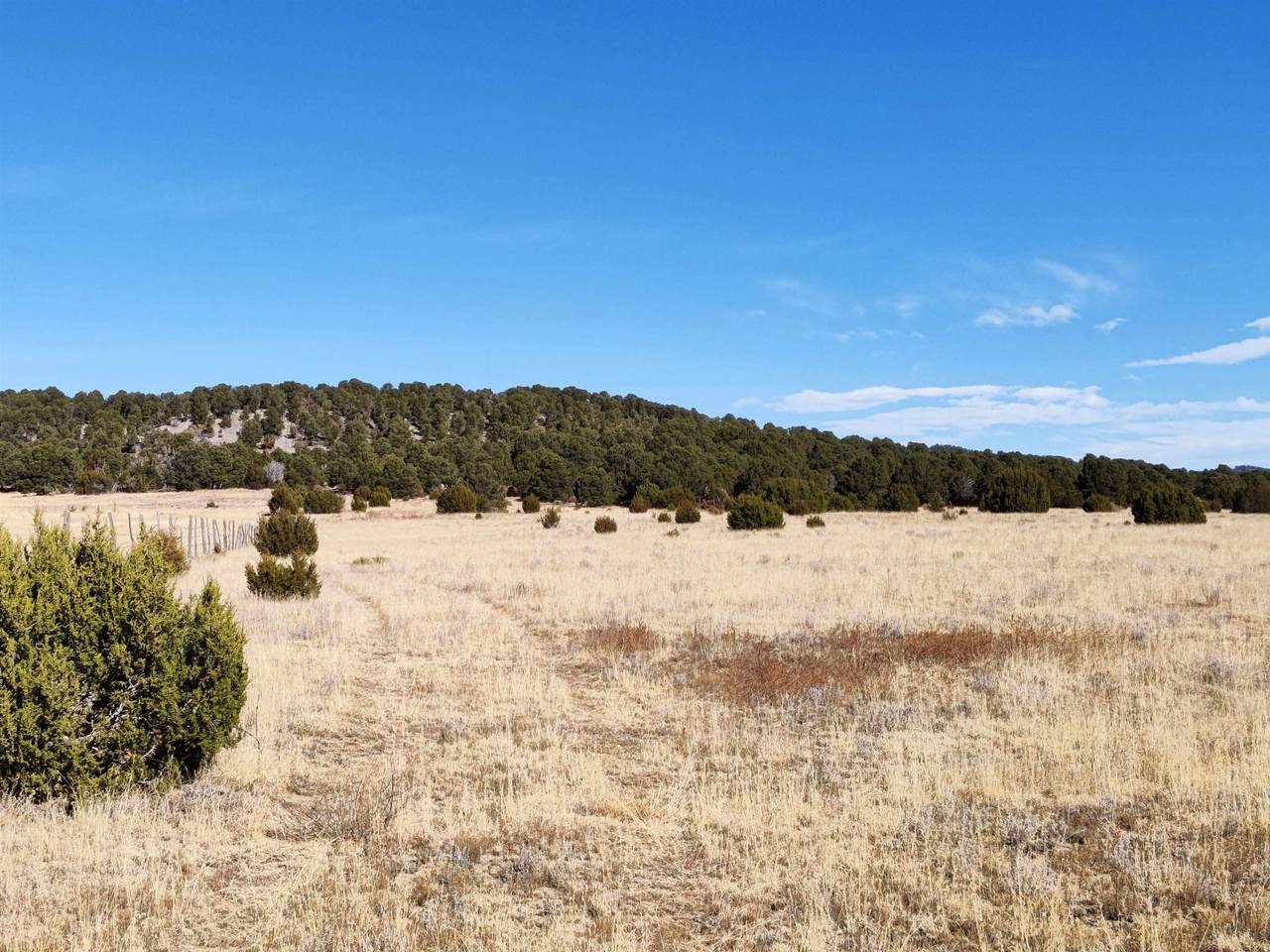 14.58 Acres State Highway 161 - Photo 1