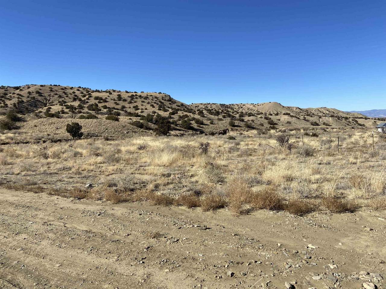 123 Old Windmill Trail - Photo 1