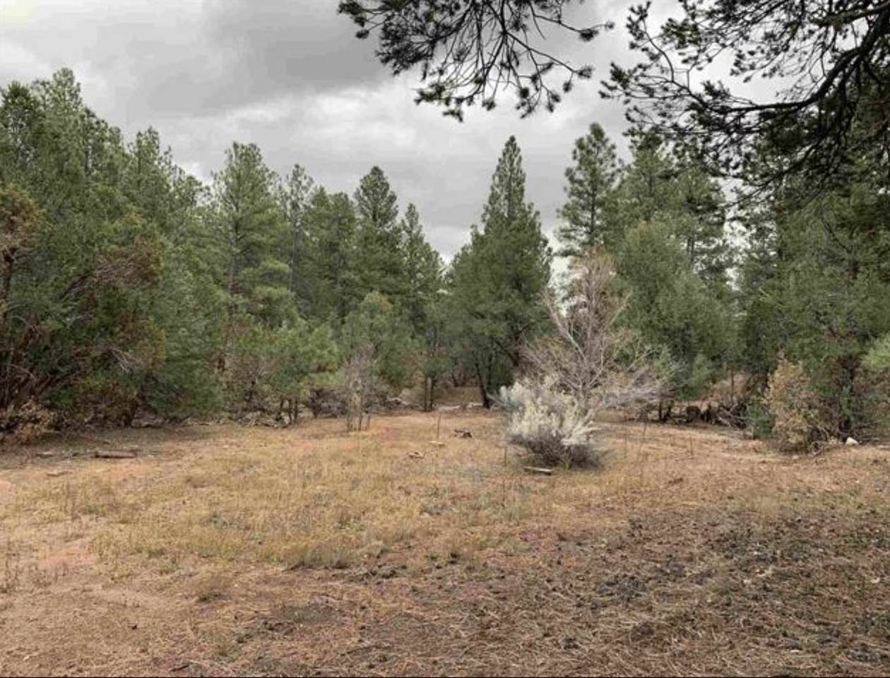 94 Pinon Ridge Road - Photo 1