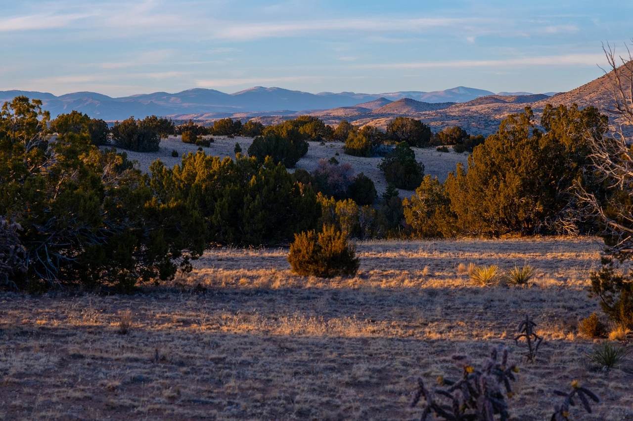 131A and B Rancho De Shama - Photo 1