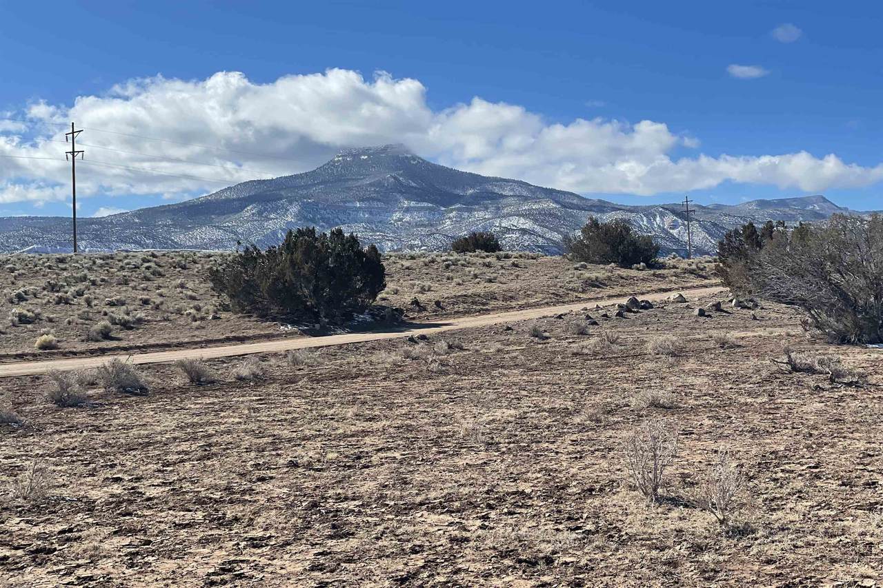 Lot 23A Laguna Jacquez - Photo 1