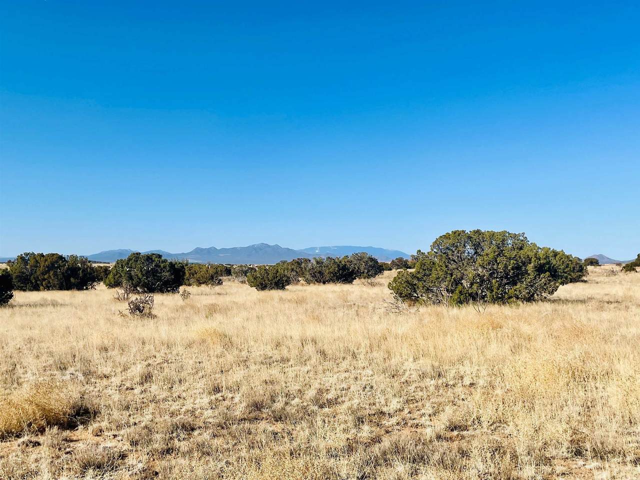 18 Sunview Loop - Photo 1