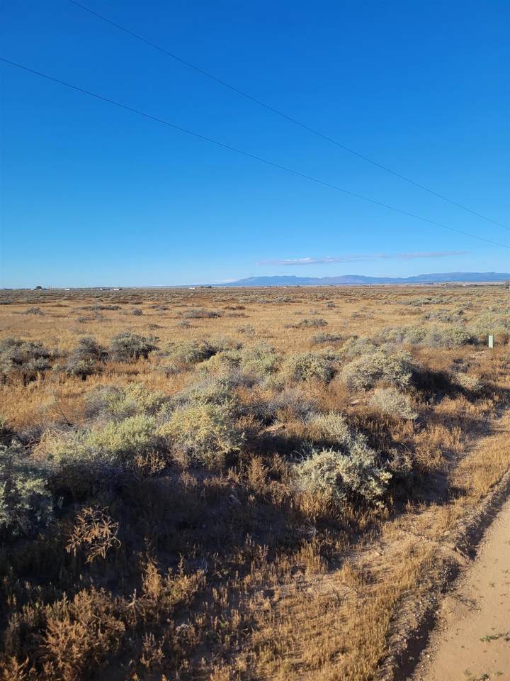 Lots 73748788 Golden Valley - Photo 1