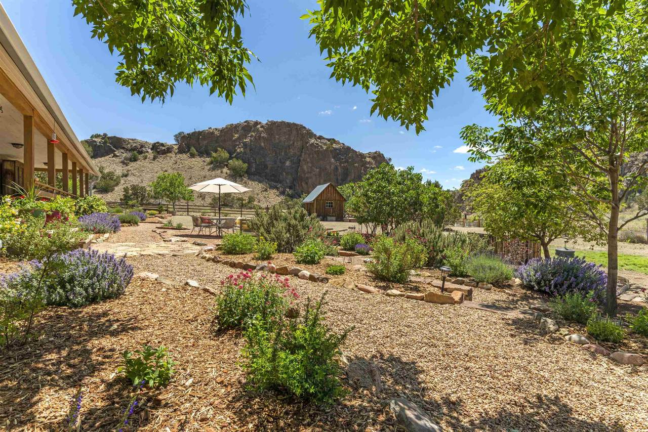 172 Wolf Road - Photo 1