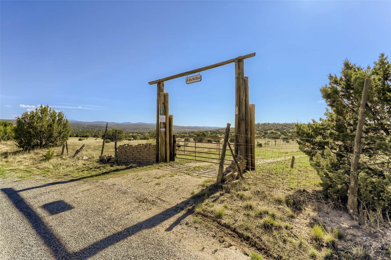 110 Cr B43b (204 Acres) - Photo 1