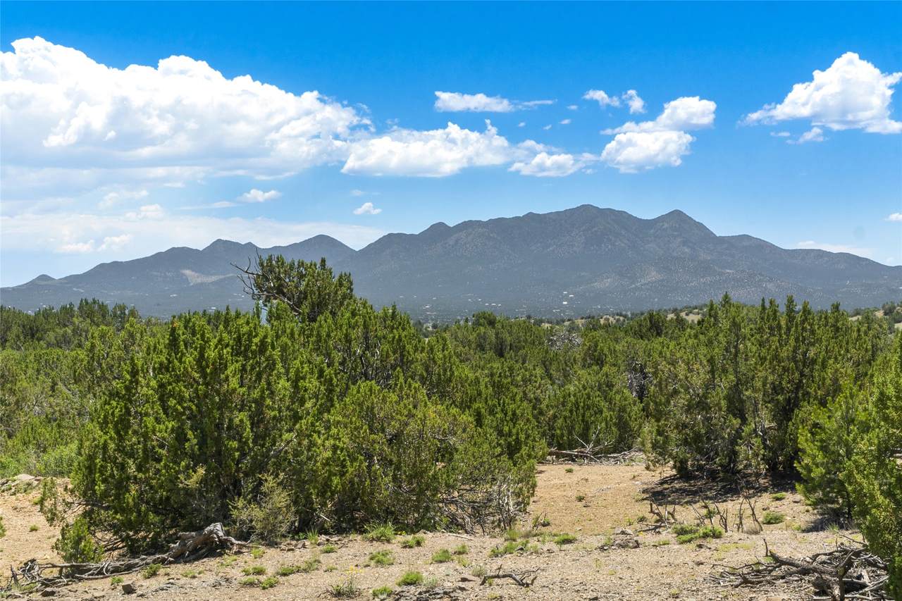 44 Gold Trail - Photo 1