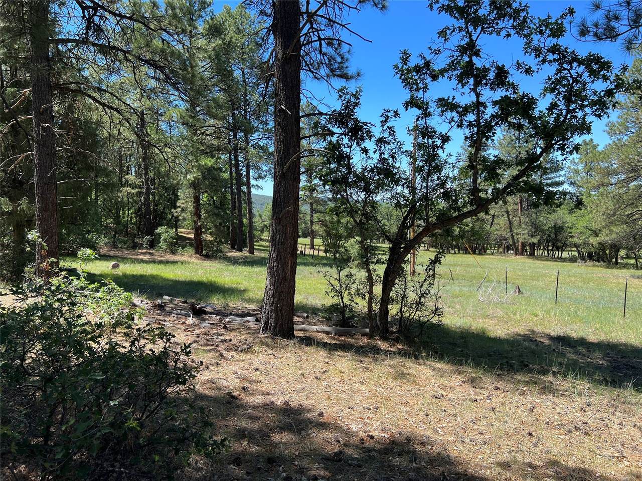 TBD Oak Meadow Drive - Photo 1