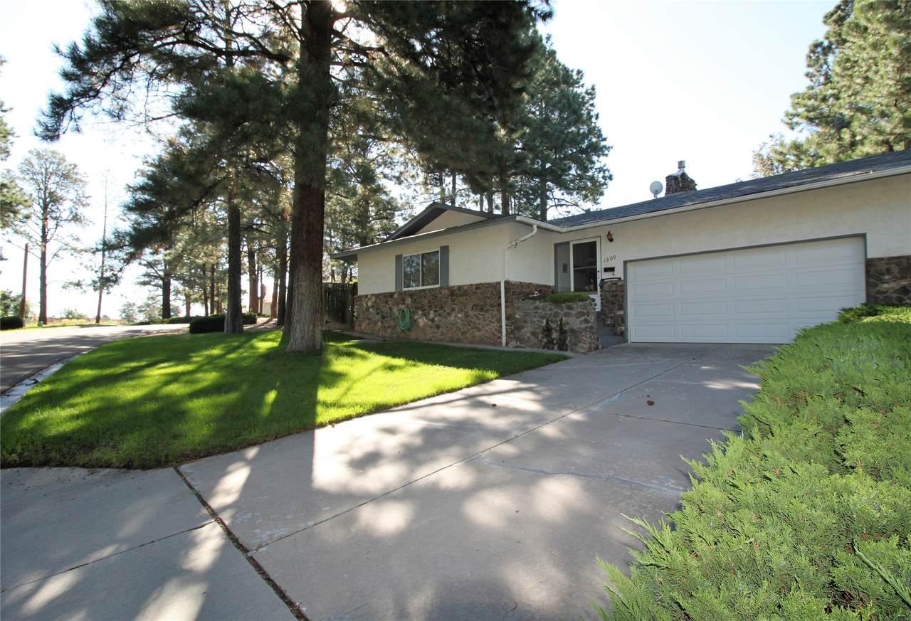 1909 Spruce - Photo 1