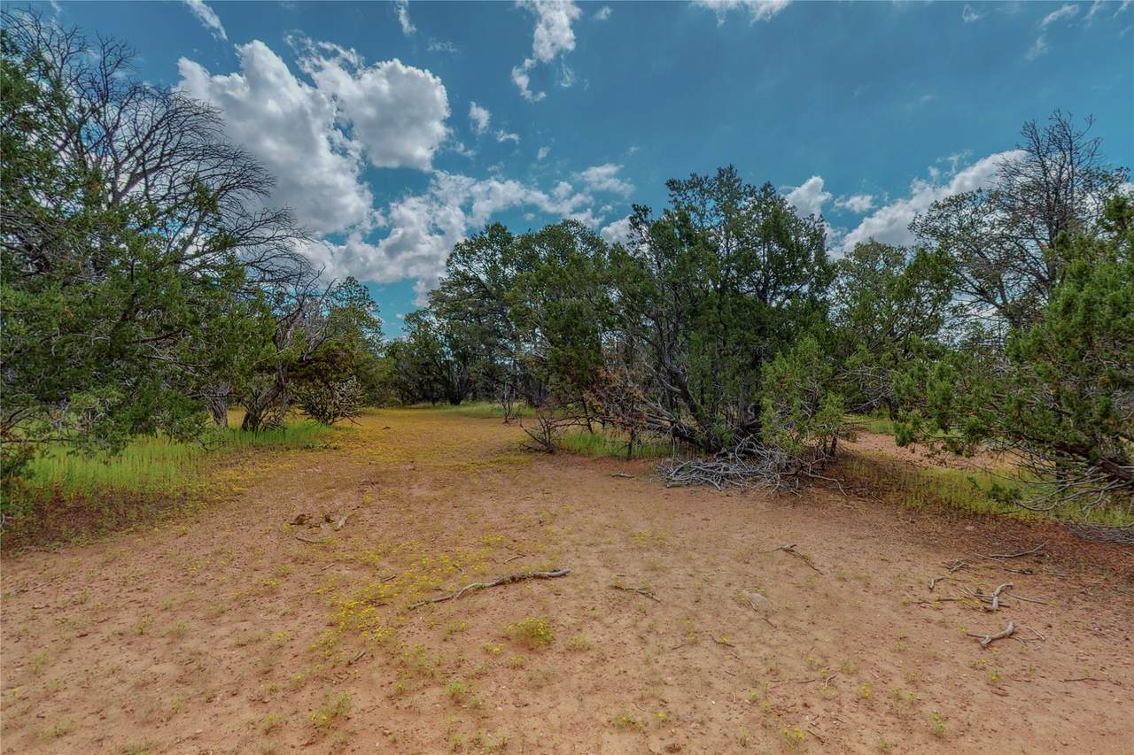 39 Mescalero Trail - Photo 1