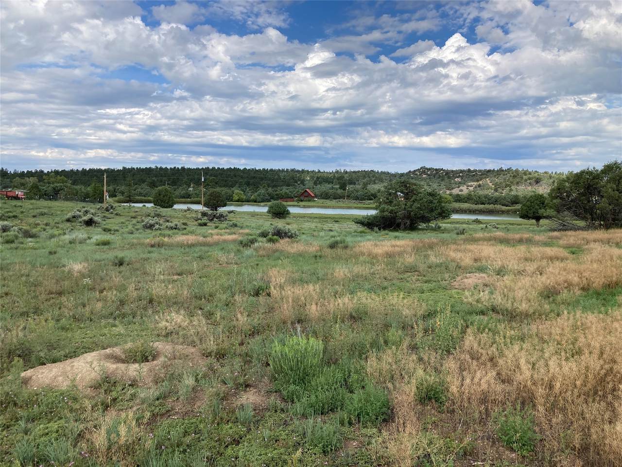 TBD Ft. Heron Loop, Lot I - Photo 1