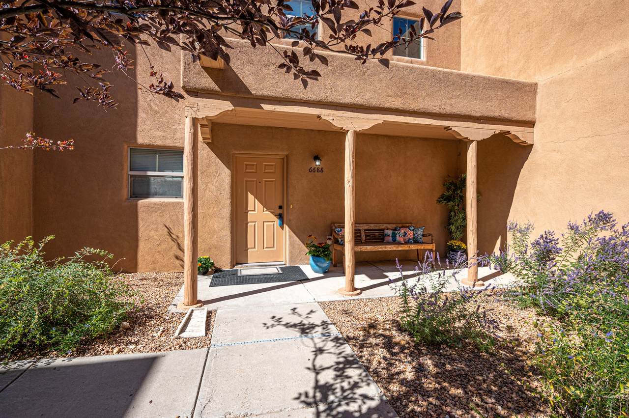 6688 Jaguar Drive - Photo 1