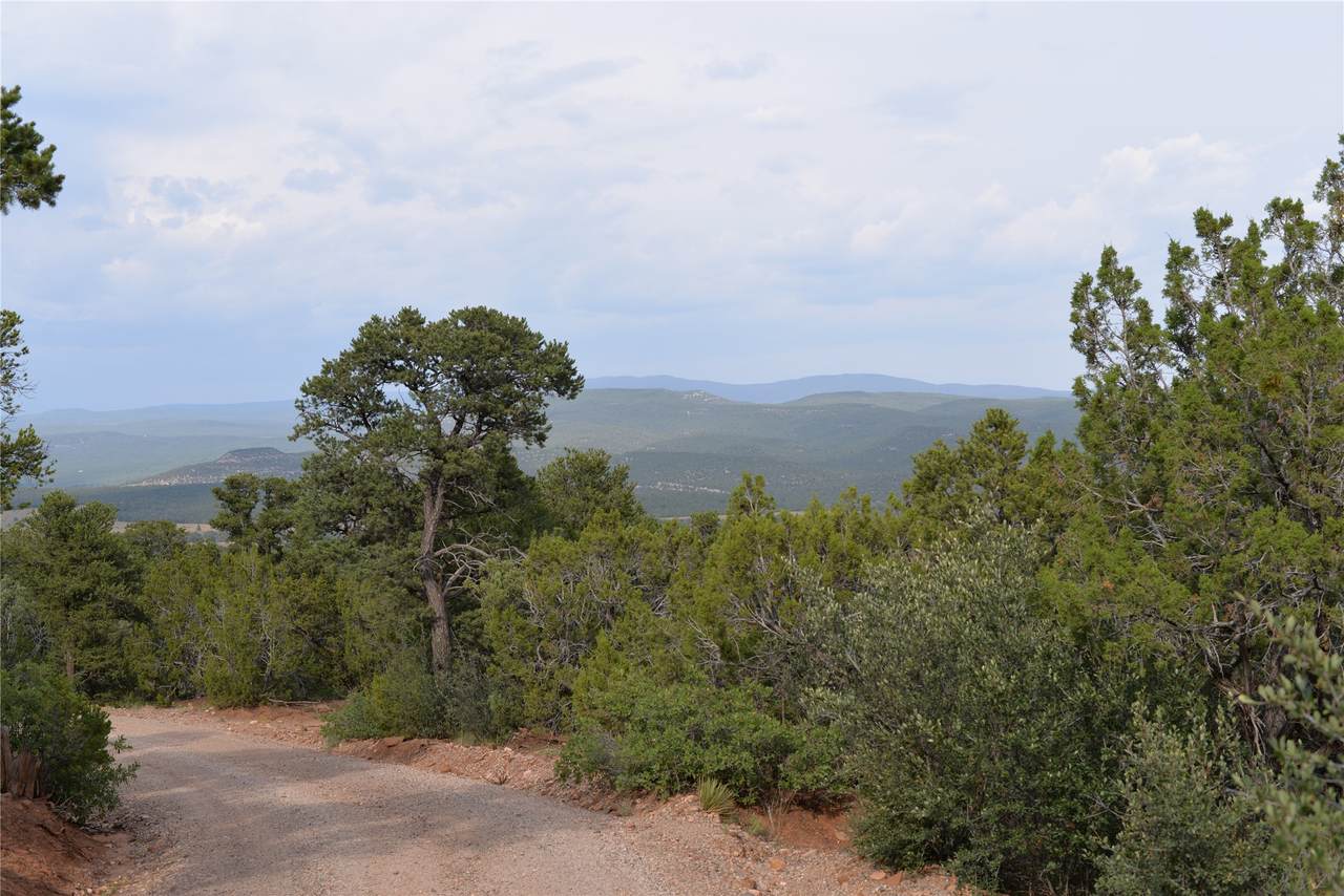 Lot 4 Dragonfly Canyon Road - Photo 1