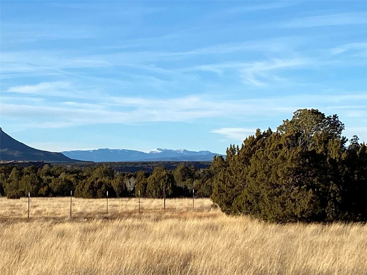 20 Acres Camino De La Vineteria - Photo 1