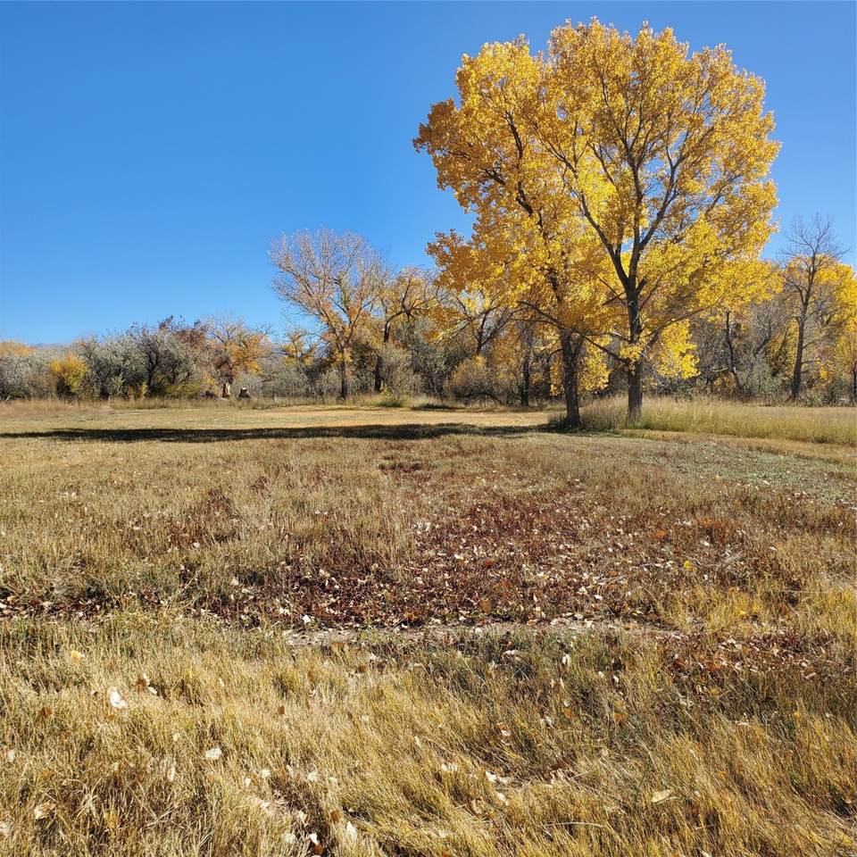 789 County Road 0001 - Photo 1