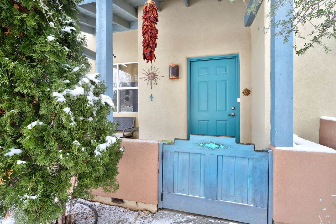 4 Jimson Weed Court - Photo 1