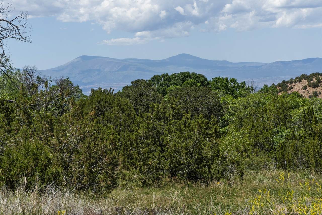 7 Rancho De Ortiz - Photo 1