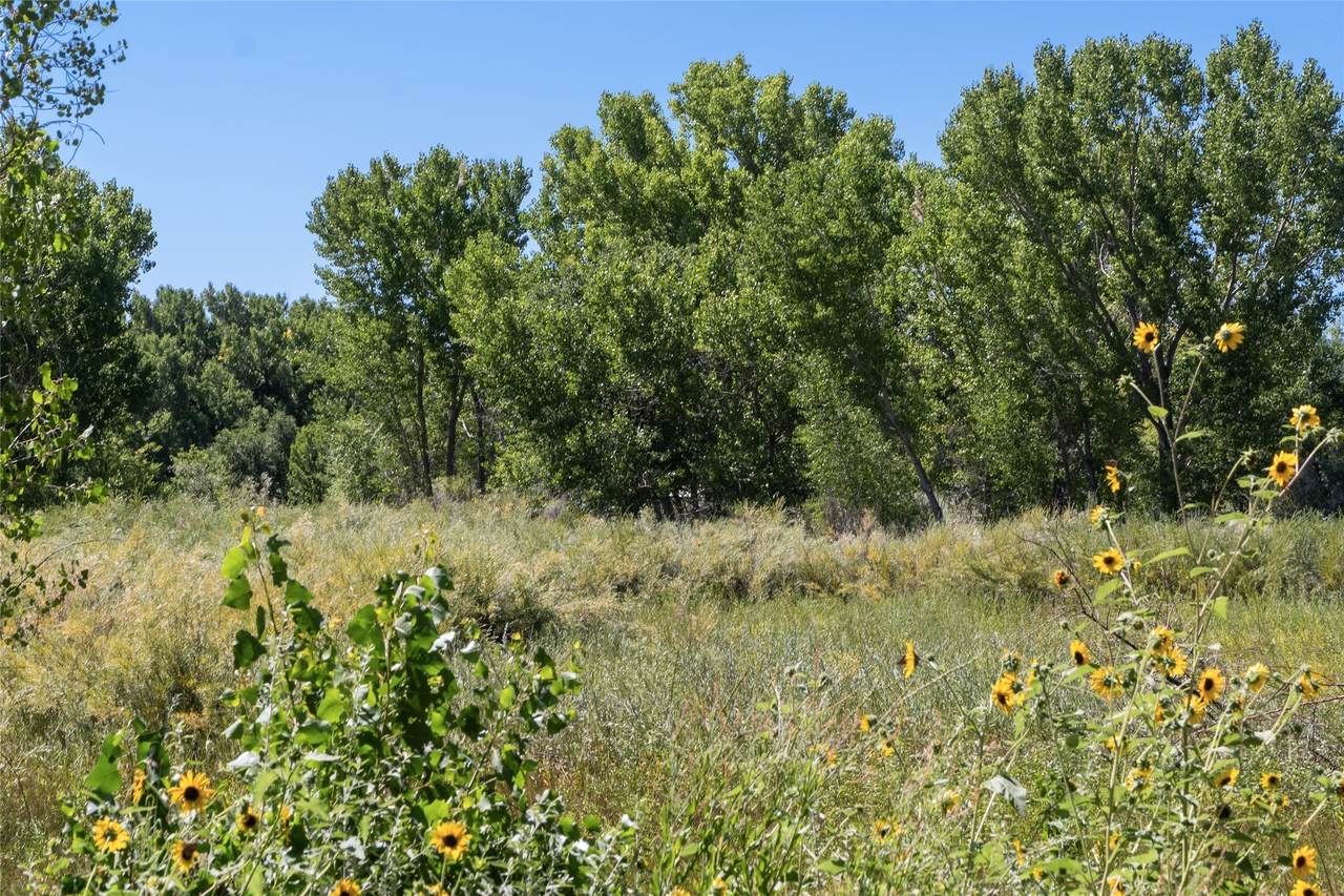 226 Nm Hwy 3 - Photo 1