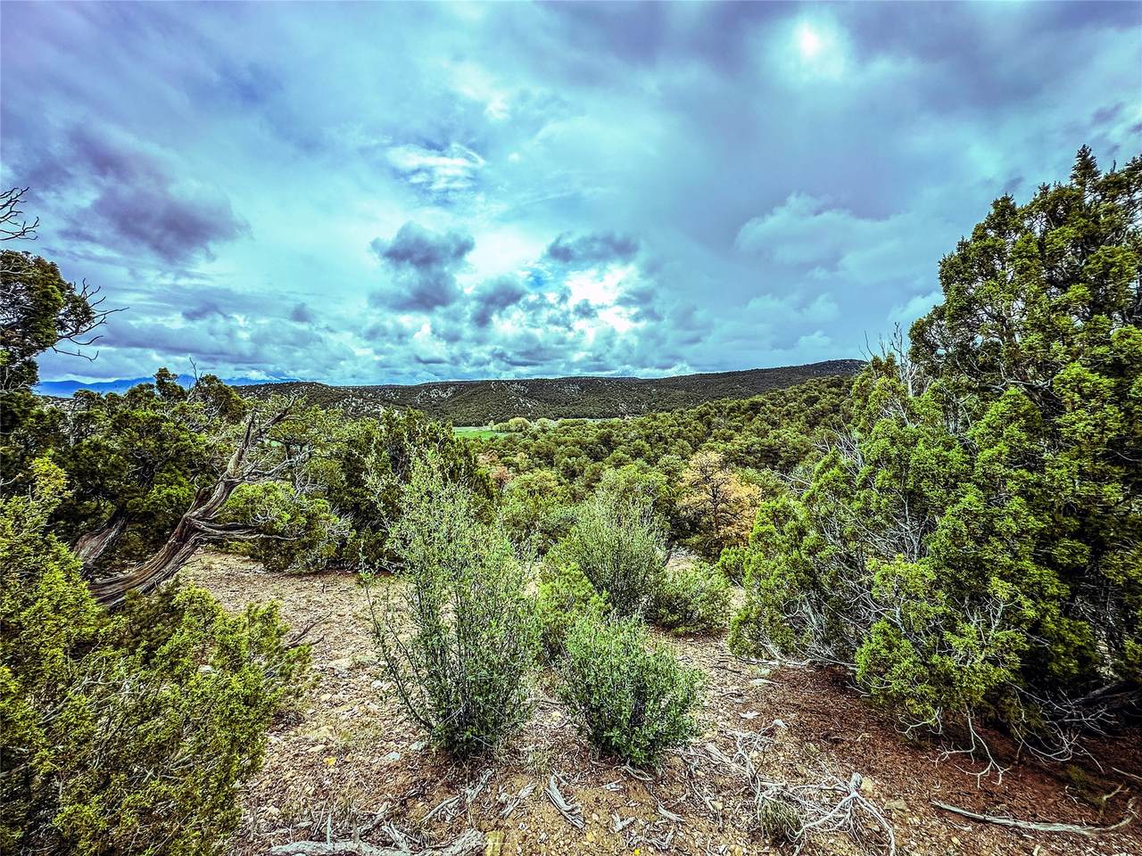 https://bt-photos.global.ssl.fastly.net/santafe/1280_boomver_1_202401893-2.jpg