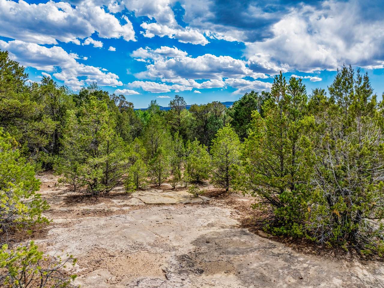 2.38 Acres Old Colonias - Photo 1