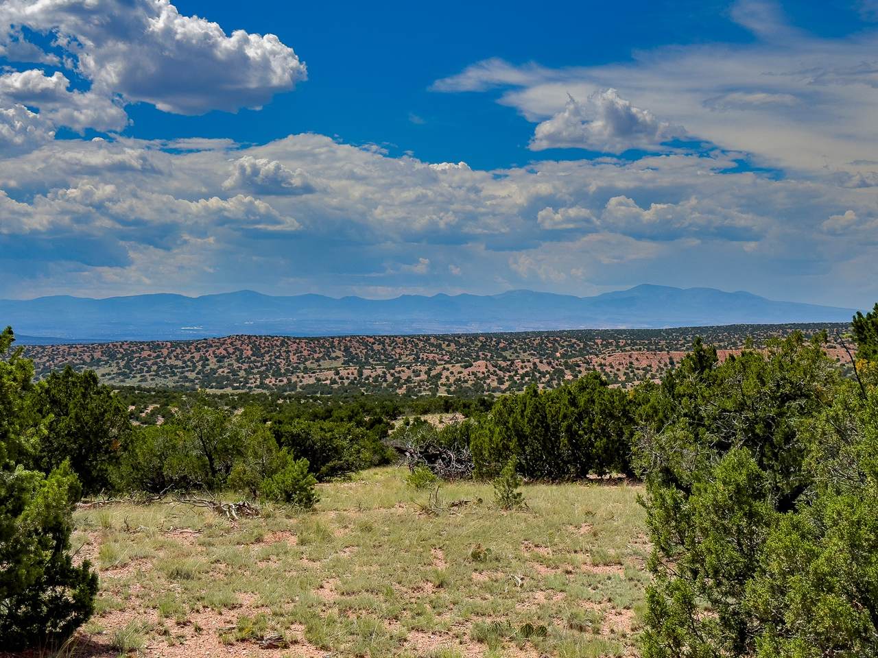 https://bt-photos.global.ssl.fastly.net/santafe/1280_boomver_1_202402908-2.jpg