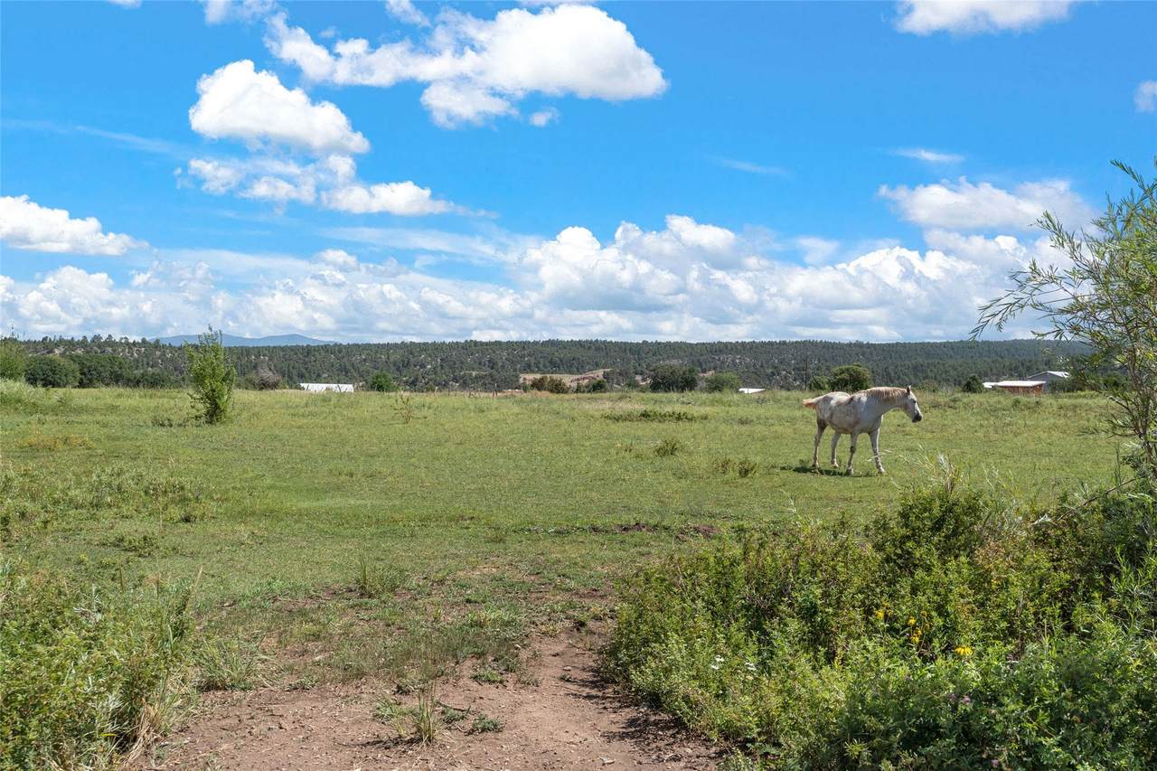 https://bt-photos.global.ssl.fastly.net/santafe/1280_boomver_1_202403080-2.jpg