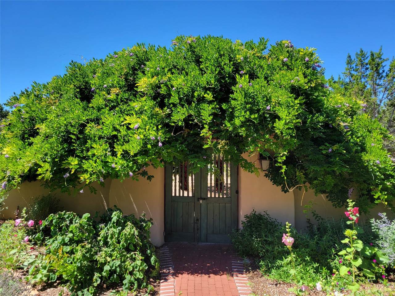 3140 Vista Sandia - Photo 1