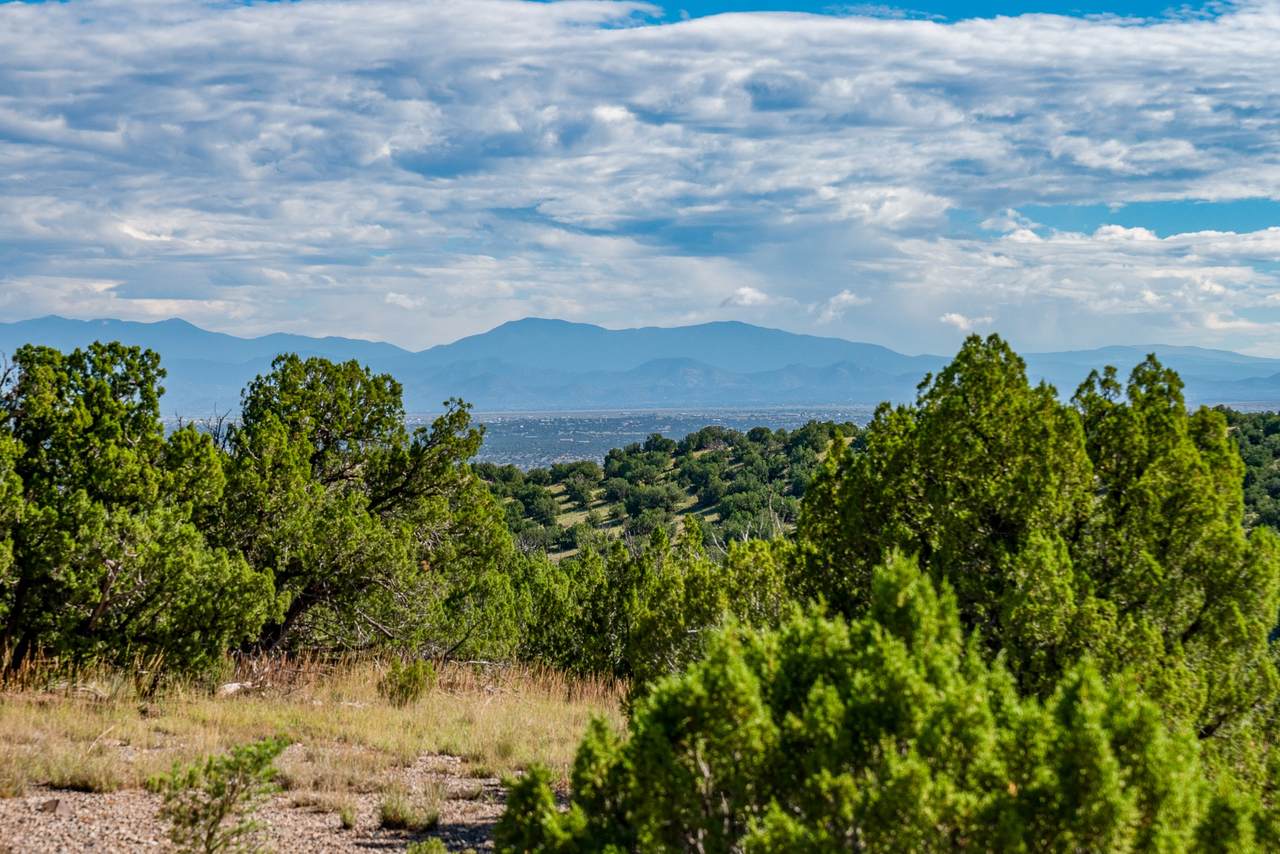 95 Grenfell Ranch & 30 Blue Agave - Photo 1