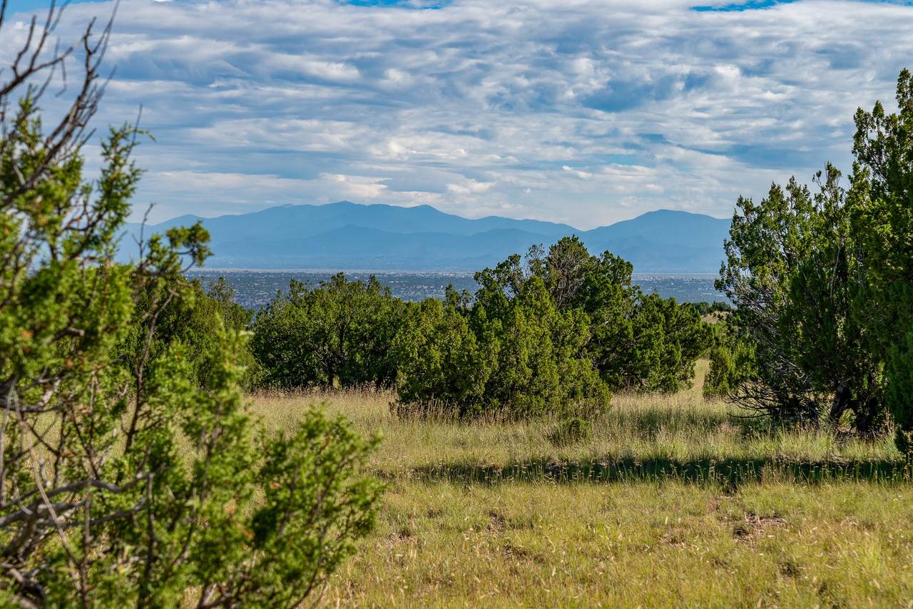 https://bt-photos.global.ssl.fastly.net/santafe/1280_boomver_1_202403625-2.jpg