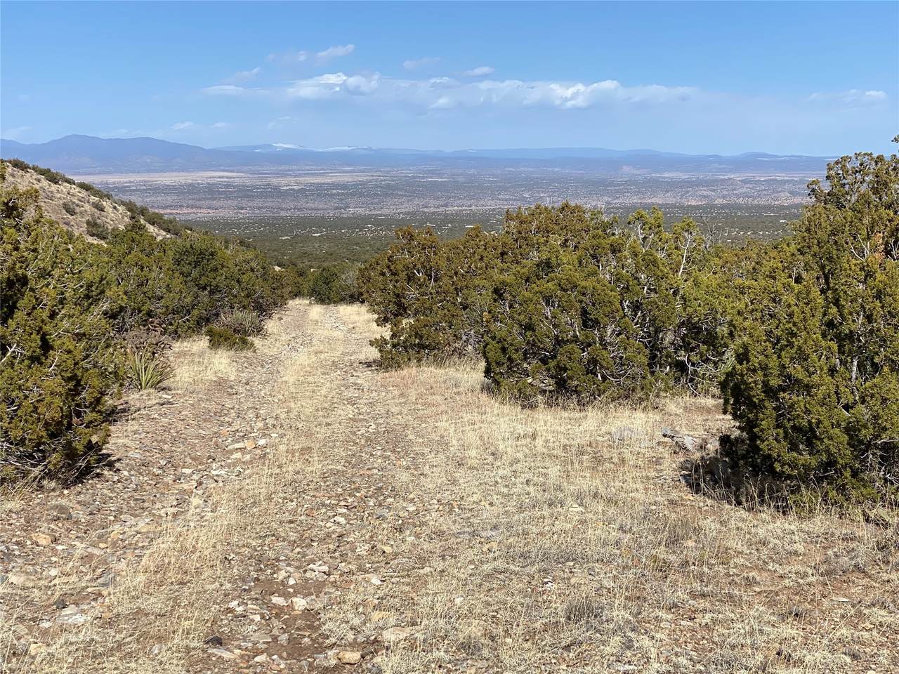 155 Cedar Mountain - Photo 1