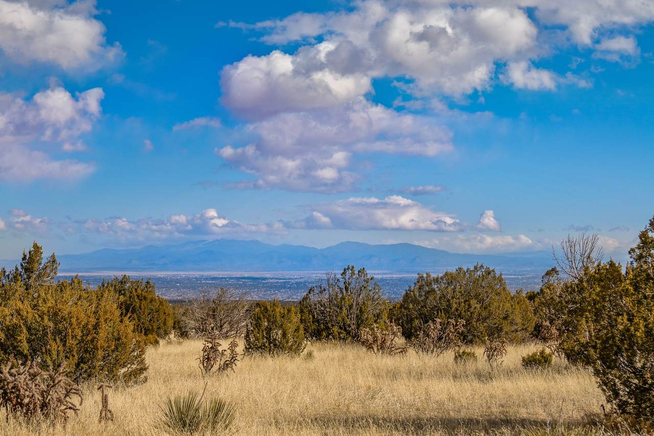 156 Wagon Trail - Photo 1