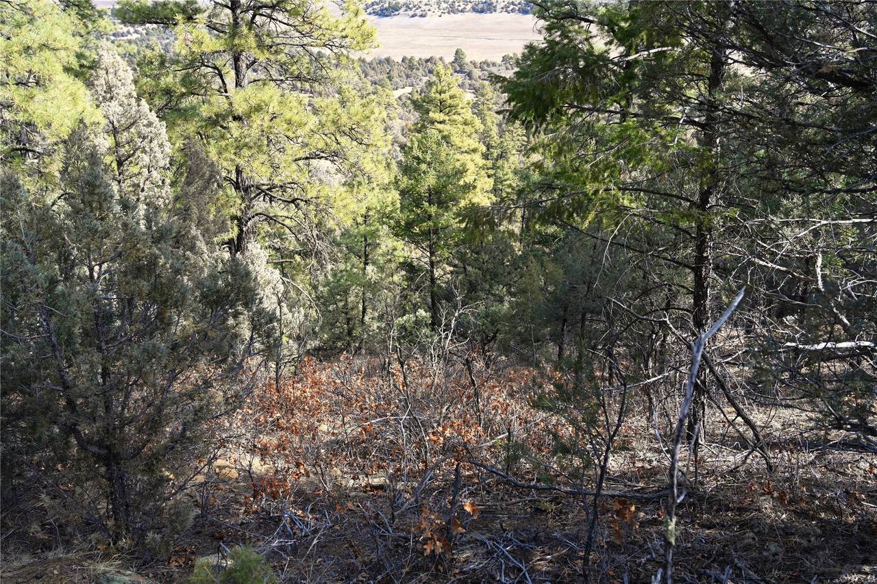 https://bt-photos.global.ssl.fastly.net/santafe/1280_boomver_1_202500559-2.jpg